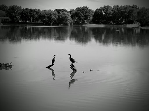 Park «Prairie Park», reviews and photos, 431 Knollwood Dr, Barrington, IL 60010, USA