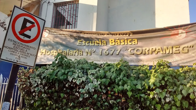 Opiniones de Escuela Básica Hospitalaria 1677 CORPAMEG en Pedro Aguirre Cerda - Escuela