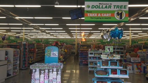 Dollar Store «Dollar Tree», reviews and photos, 11530 W Sample Rd, Coral Springs, FL 33065, USA