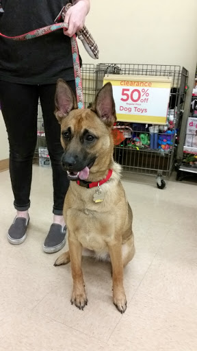 Pet Supply Store «Petco Animal Supplies», reviews and photos, 5631 Grove Blvd, Hoover, AL 35226, USA