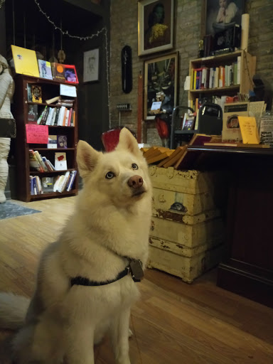 Book Store «Uncharted Books», reviews and photos, 2620 N Milwaukee Ave, Chicago, IL 60647, USA
