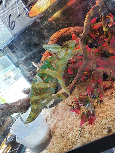 Pet Store «Aqua World Pet Super Center», reviews and photos, 8143 Ohio River Blvd, Pittsburgh, PA 15202, USA