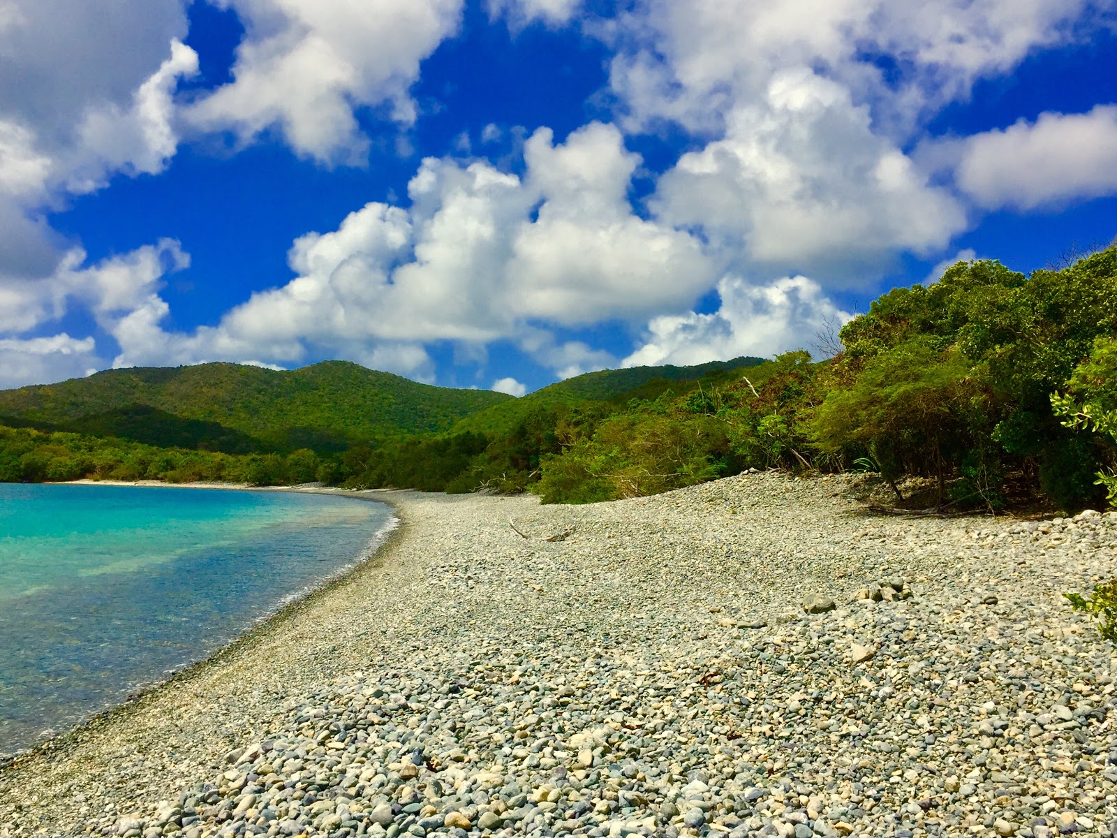 Foto di Great Lameshur beach con una superficie del acqua cristallina