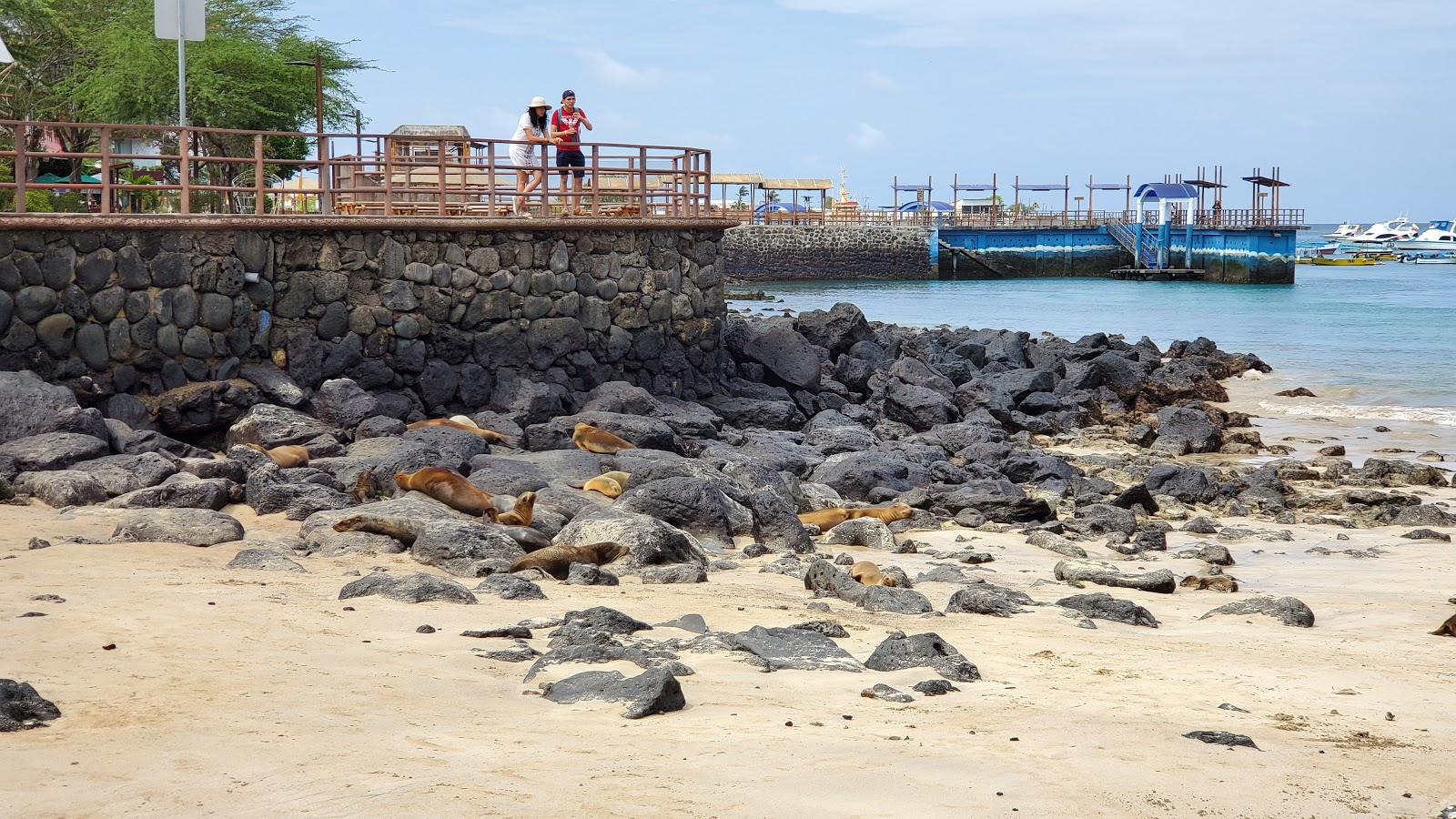 Φωτογραφία του Playa de Oro και η εγκατάσταση