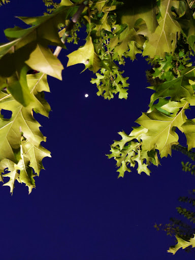 Public Swimming Pool «Frances Meadows Aquatic Center», reviews and photos, 1545 Community Way, Gainesville, GA 30501, USA