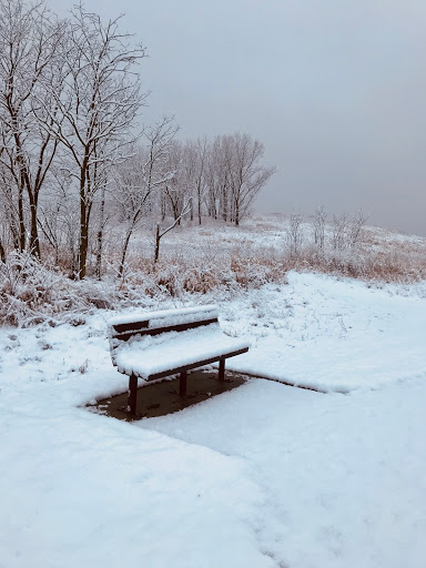 Nature Preserve «Meacham Forest Preserve», reviews and photos, Circle Ave, Bloomingdale, IL 60108, USA