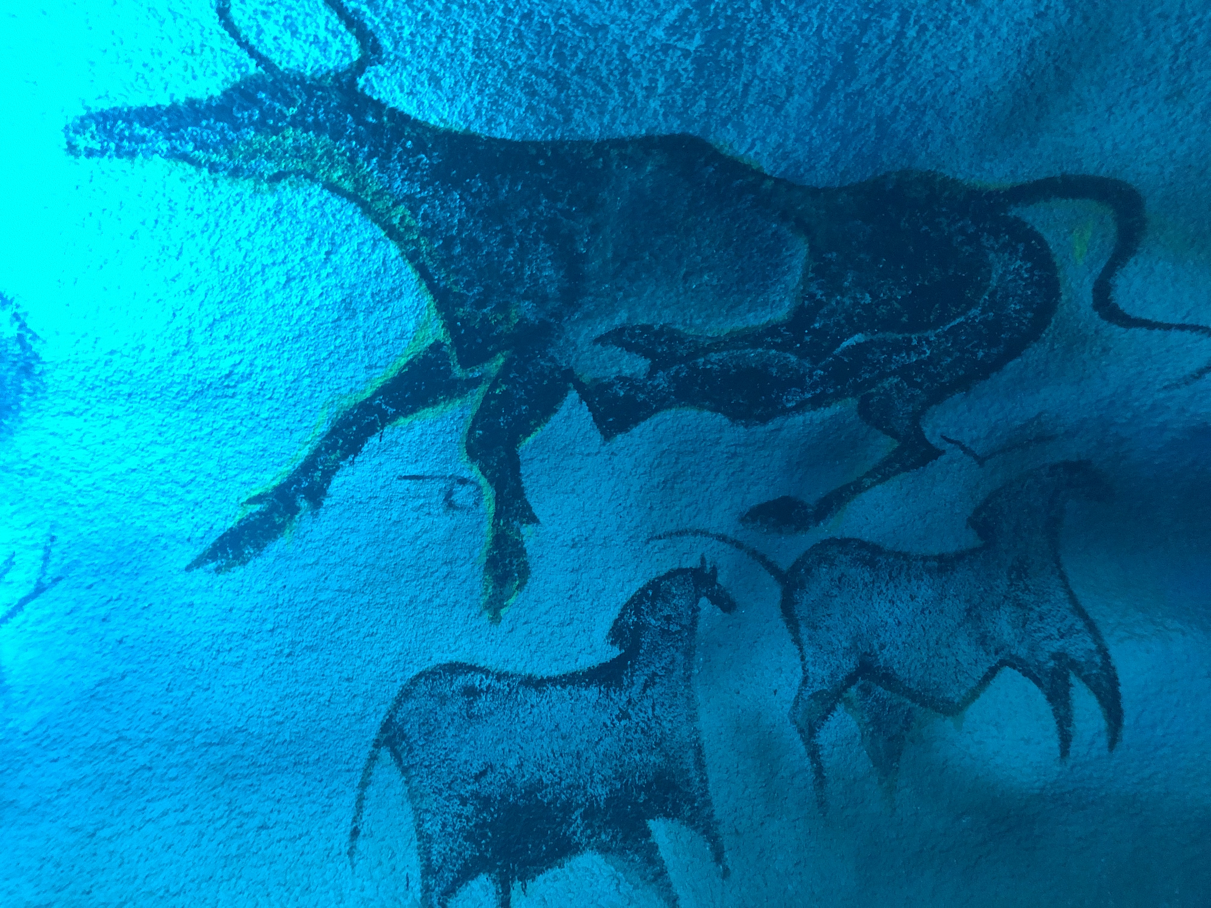 Photo n° 2 de l'avis de sarah.z fait le 28/07/2023 à 07:23