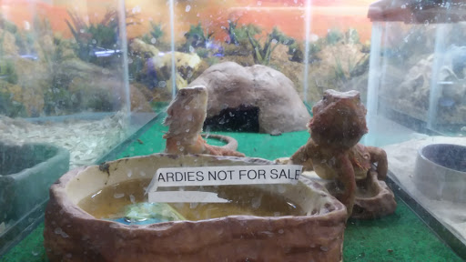 Pet Store «Birds & Beasts Pet Shop», reviews and photos, 35 Berkshire Dr # 18, Crystal Lake, IL 60014, USA