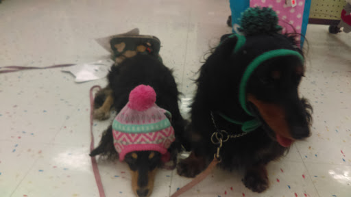 Pet Supply Store «Petco Animal Supplies», reviews and photos, 4950 S 76th St, Greenfield, WI 53220, USA