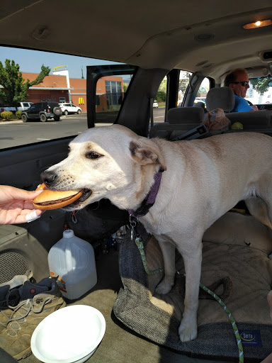 Movie Theater «Regal Cinemas Bridgeport Village 18 & IMAX», reviews and photos, 7329 SW Bridgeport Rd, Tigard, OR 97224, USA