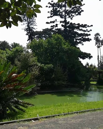 Vidéos hôtels Ver Belém Suites 1300-571 Lisbon