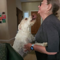 Do Walk A Dog - Photo 6 - Car repair in , Henderson