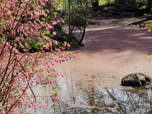 Park «Rood Bridge Park», reviews and photos, 4000 SE Rood Bridge Rd, Hillsboro, OR 97123, USA