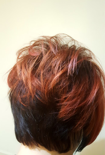 Hair Salon «Regis Signature Salon», reviews and photos, 4200 Conroy Rd #200, Orlando, FL 32839, USA