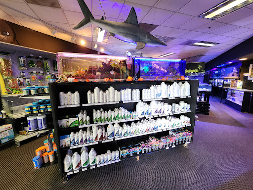 The Local Fish Store