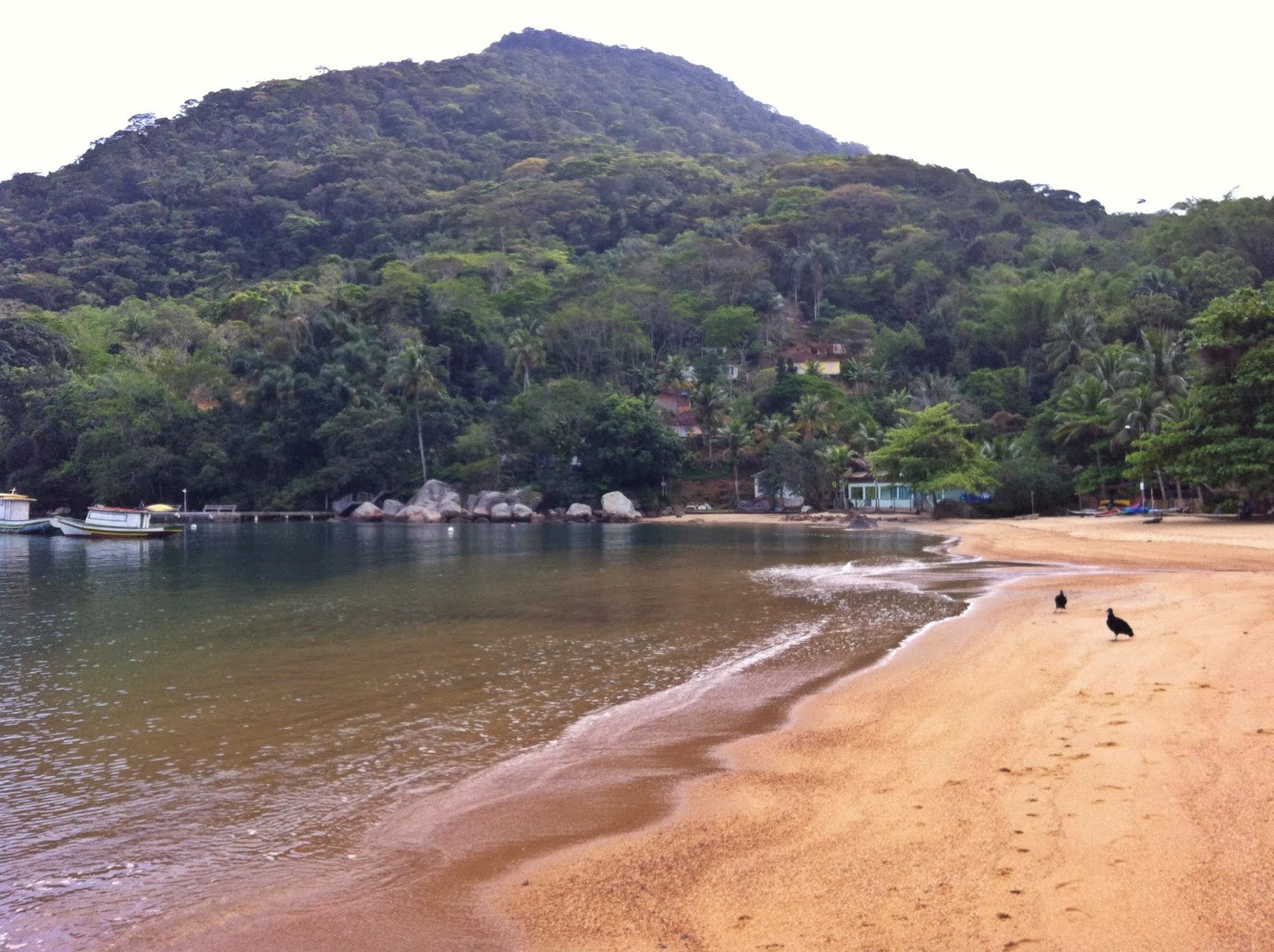Foto van Praia da Longa met ruime baai