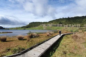 Lake Okareka Reserve and Walkway image