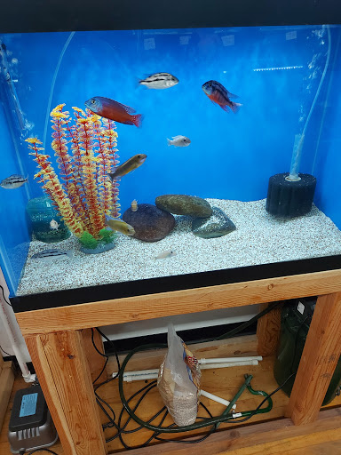 Tropical Fish Store «Tropi-Quatics Pet Center», reviews and photos, 337 S Main St, Lombard, IL 60148, USA