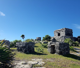 YucaTreks photo