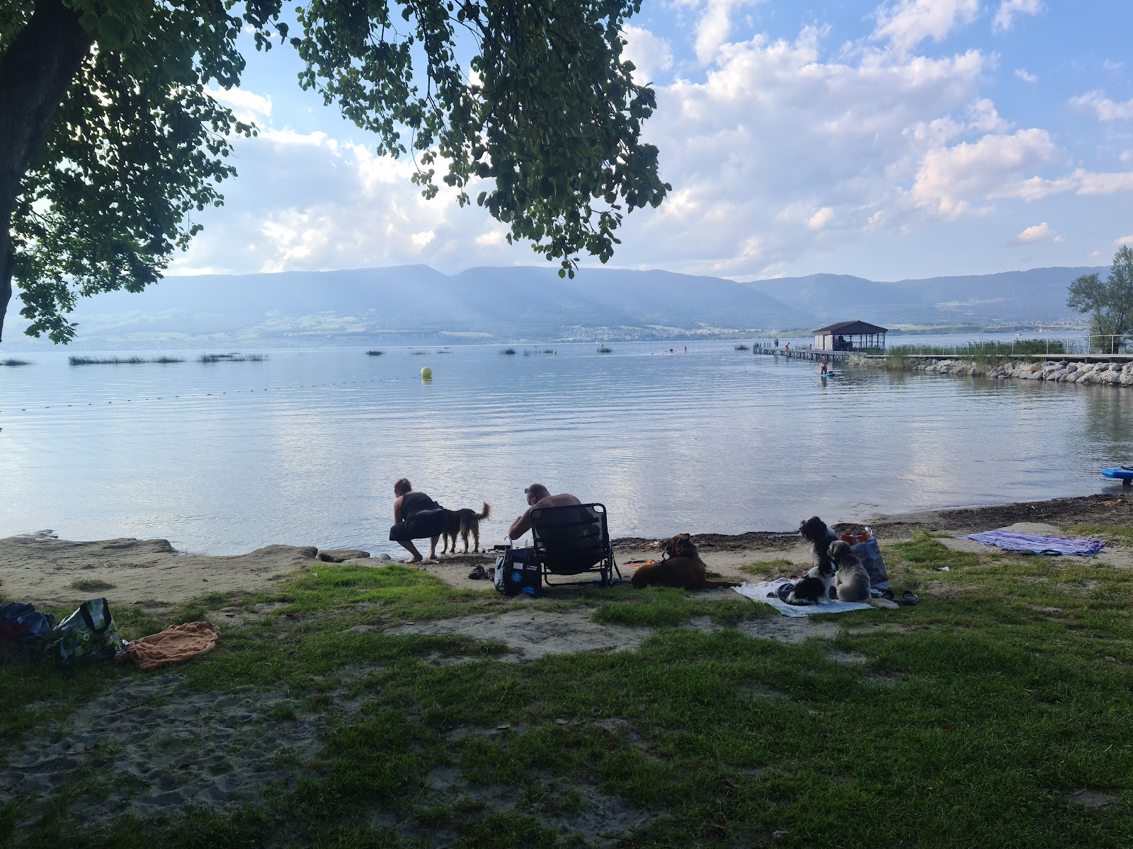 Forel plage'in fotoğrafı düz bir kıyı şeridi ile birlikte