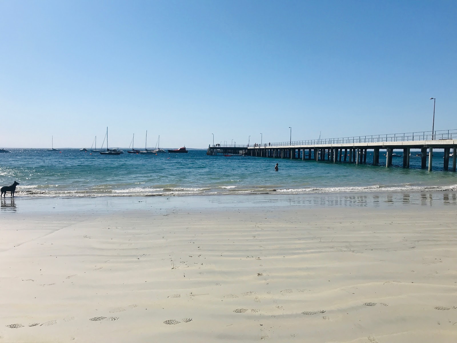 Point Leo Beach photo #8