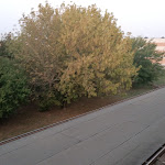 Photo n°2 de l'avis de Alberto.a fait le 07/10/2022 à 21:52 sur le  Amira - HOTEL - Castel Goffredo - Mantova (NUOVA GESTIONE) à Castel Goffredo