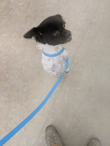 Pet Supply Store «Petco Animal Supplies», reviews and photos, 5850 Sepulveda Blvd, Van Nuys, CA 91411, USA