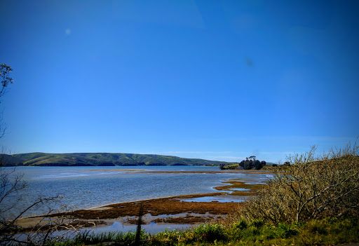 Surf Shop «2 Mile Surf Shop», reviews and photos, 22 Brighton Ave, Bolinas, CA 94924, USA