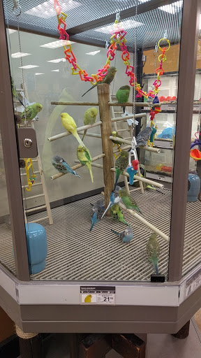 Pet Supply Store «Petco Animal Supplies», reviews and photos, 22966 Sussex Hwy, Seaford, DE 19973, USA