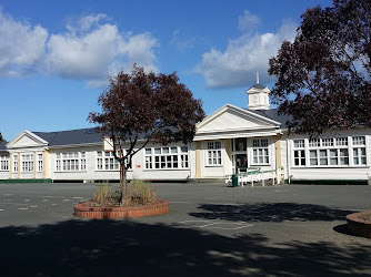 Te Aro School