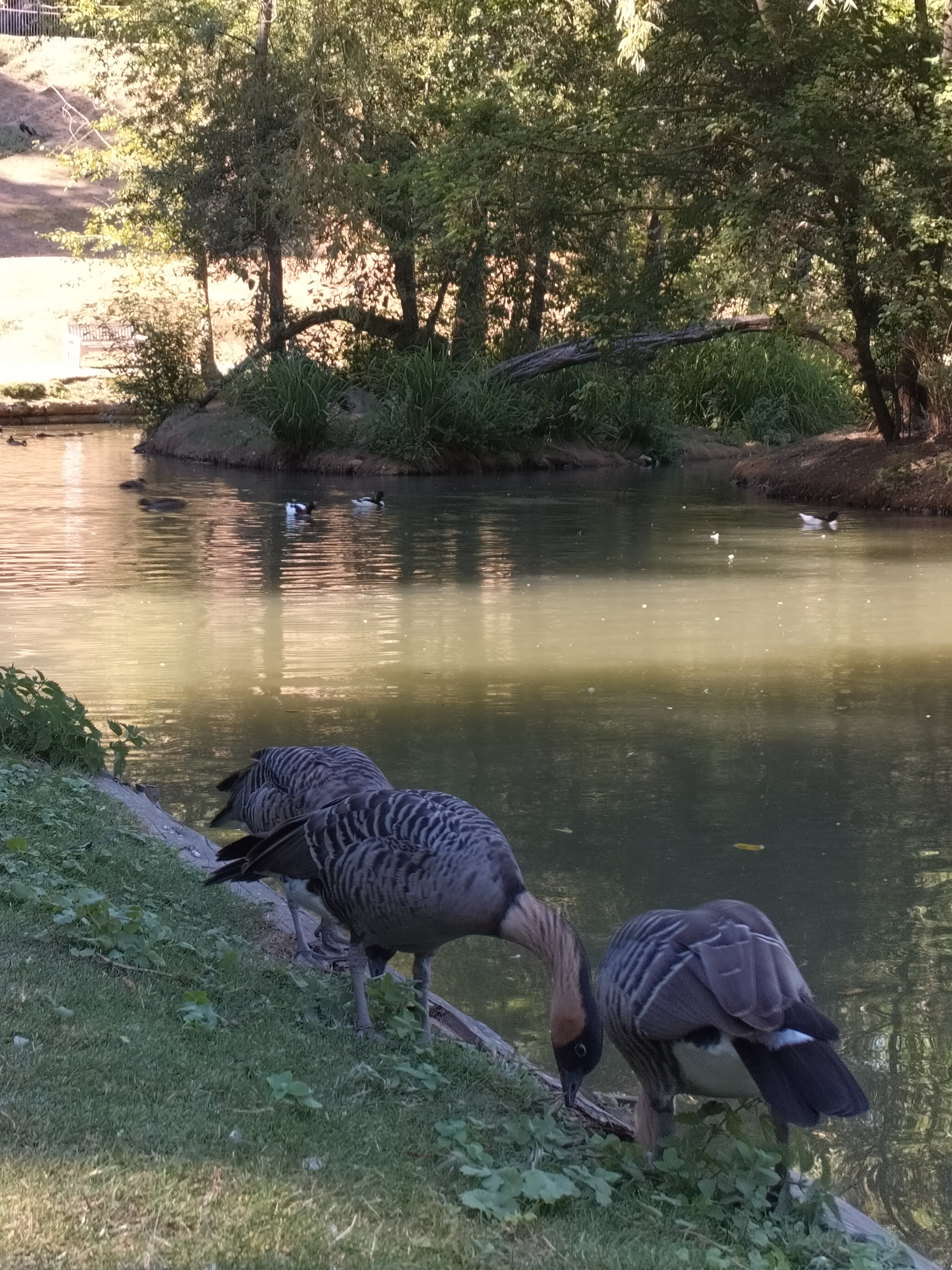 Photo n° 10 de l'avis de Elise.u fait le 08/09/2022 à 12:48