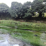Photo n°4 de l'avis de Eufrasia.M fait le 15/07/2018 à 20:31 sur le  L'Argine ristorante - pizzeria à Venafro