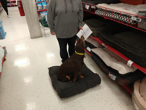 Pet Supply Store «Petco Animal Supplies», reviews and photos, 20111 US-19 #201c, Cranberry Twp, PA 16066, USA
