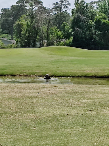 Golf Course «Bay Forest Golf Course», reviews and photos, 201 Bay Forest Dr, La Porte, TX 77571, USA