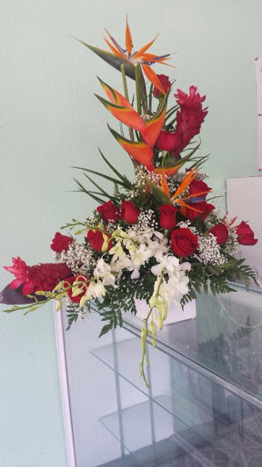 Florist «Primavera Florist Pedro», reviews and photos, 5510 W Flagler St, Coral Gables, FL 33134, USA