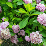 Photo n°18 de l'avis de Rosanna.o fait le 01/08/2019 à 09:41 sur le  Acquanera Circolo - Monzone à Monzone