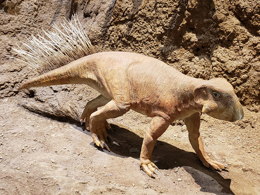 Art Museum «Carnegie Museum of Art», reviews and photos, 4400 Forbes Ave, Pittsburgh, PA 15213, USA