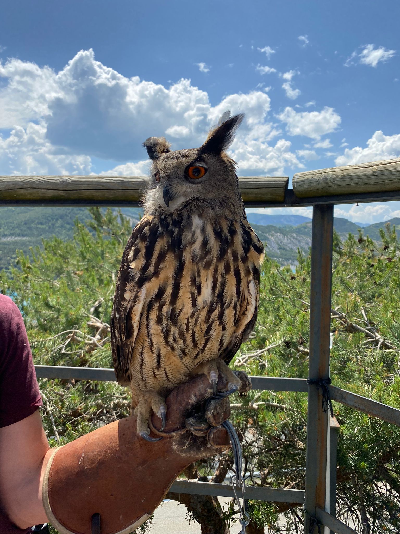 Photo n° 1 de l'avis de Sandrine.O fait le 28/05/2023 à 15:14