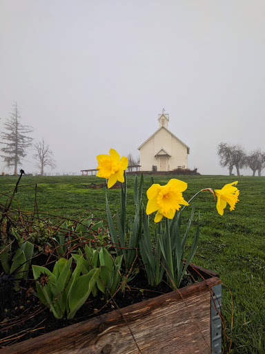 Bakery «Camas Country Bakery and Store», reviews and photos, 91948 Purkerson Rd, Junction City, OR 97448, USA