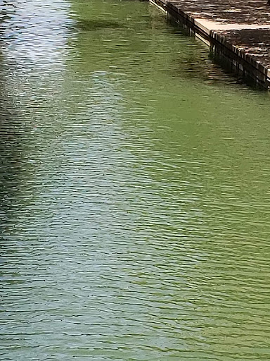 Tourist Attraction «Mandalay Canal Walk at Las Colinas», reviews and photos, 215 Mandalay Canal, Irving, TX 75039, USA