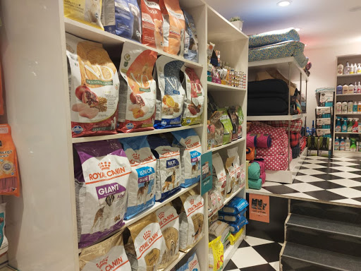 Heads Up For Tails Pet Store | Greater Kailash 2, New Delhi