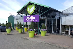 Aralia Garden Center image