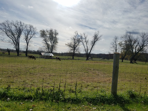 Nature Preserve «Brunner Family Forest Preserve», reviews and photos, 18N681 State Rte 31, Carpentersville, IL 60110, USA