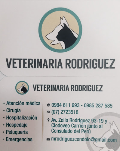 Clínica Veterinaria Rodríguez - Veterinario