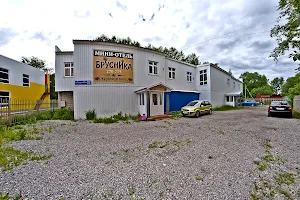 Mini-Otel' Brusnika image