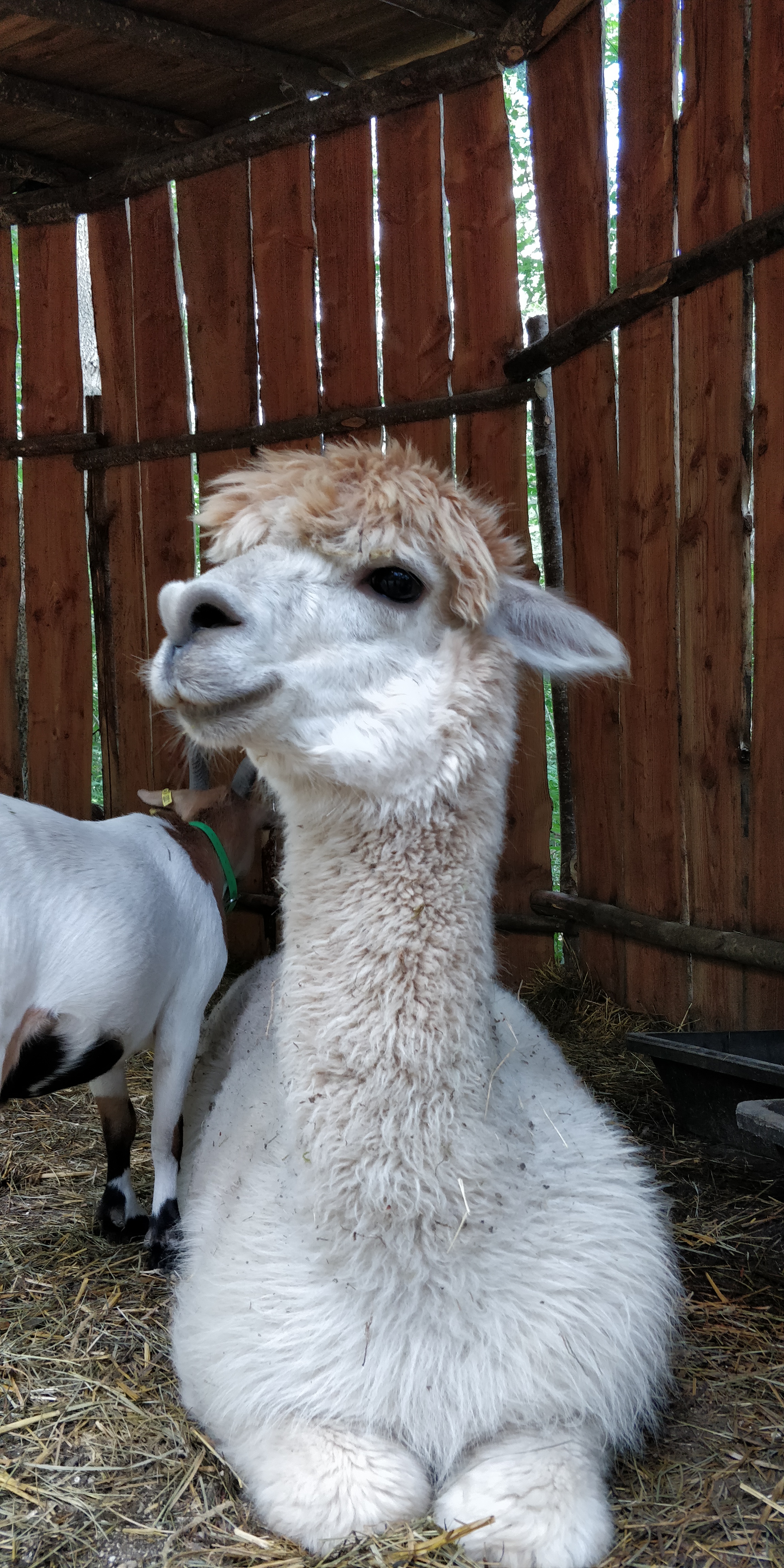 Photo n° 1 de l'avis de QUENTIN.D fait le 12/07/2019 à 19:38