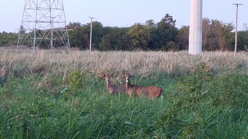 Nature Preserve «Hidden Oaks Conservation Area», reviews and photos, 419 Trout Farm Rd, Bolingbrook, IL 60440, USA