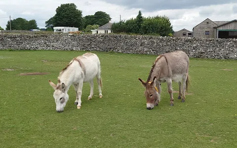 The Donkey Sanctuary, Derbyshire image
