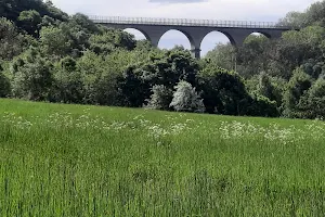 Hownsgill Viaduct image