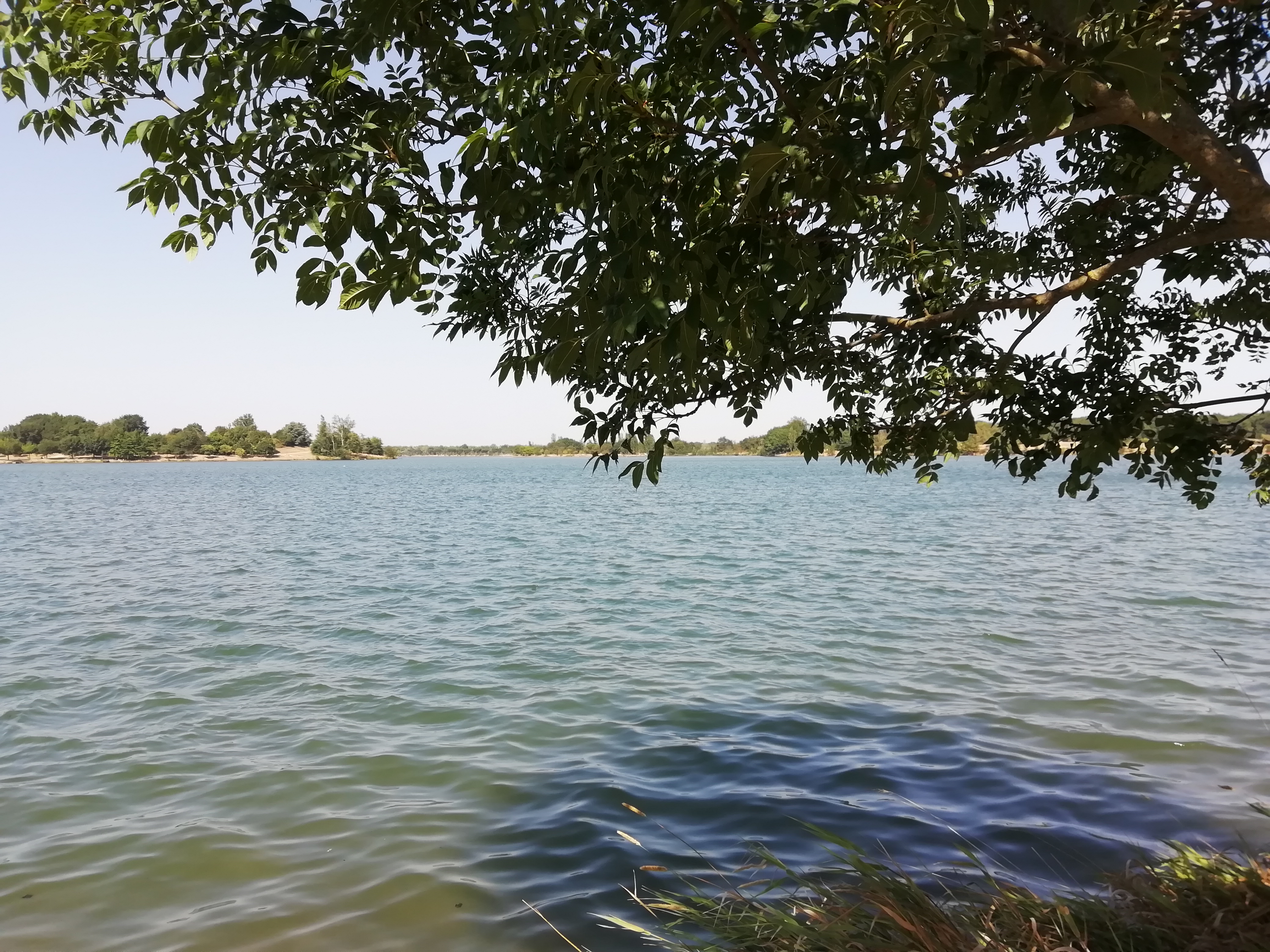 Photo n° 1 de l'avis de Florimond.o fait le 30/07/2020 à 20:21
